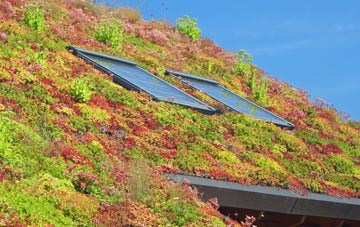 Arrochar living roof systems
