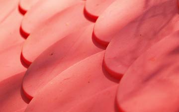 Arrochar plastic roof costs